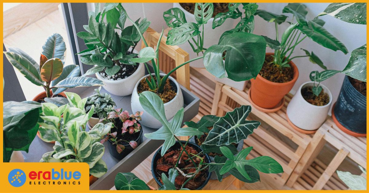 10 Tanaman Pembersih Udara, Ruangan Lebih Segar dan Sejuk