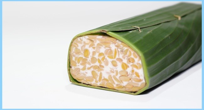 Kandungan Gizi di Dalam Tempe
