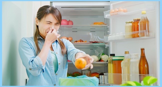 Penyebab Munculnya Bau Kulkas