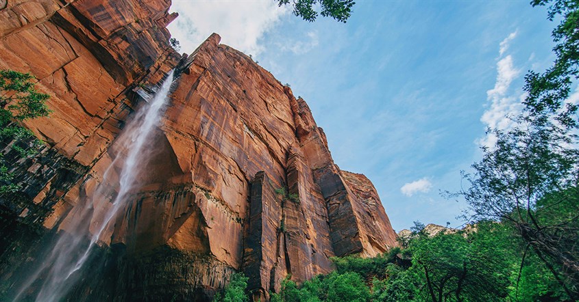 Wallpaper HP Aesthetic