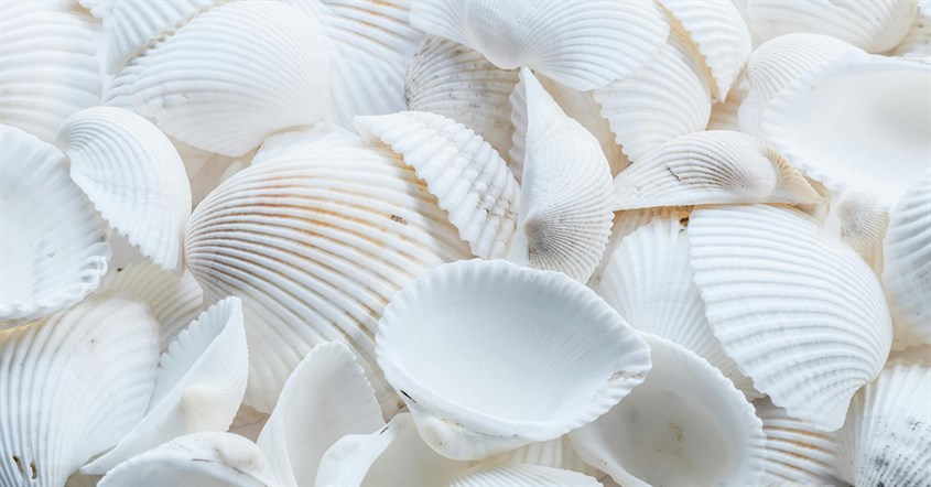 Wallpaper HP Aesthetic