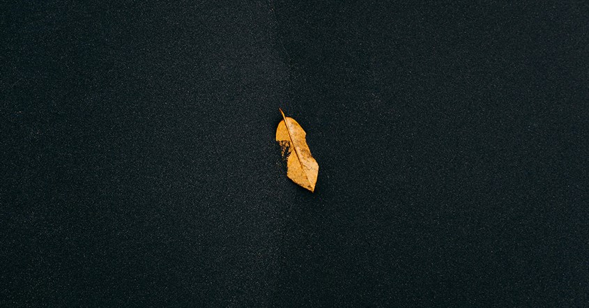 Wallpaper HP Aesthetic