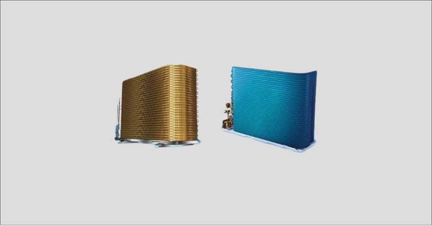 Perbedaan Blue Fin dan Gold Fin Perbedaan Blue Fin dan Gold Fin