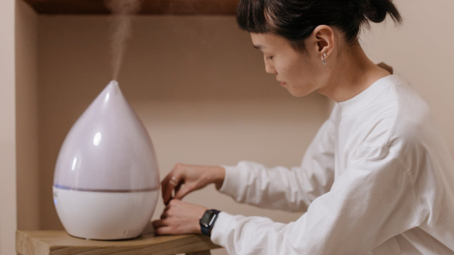 Perbedaan air purifier dan humidifier