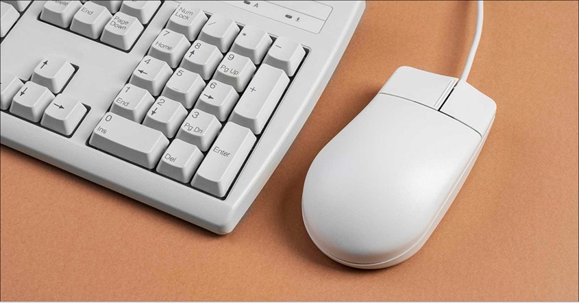 Mouse