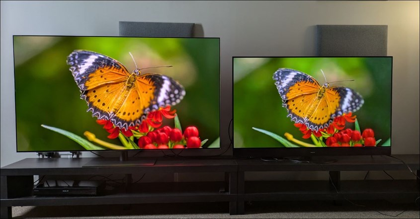 Vivid Mode vs Mode Gambar Lainnya Vivid Mode vs Mode Gambar Lainnya