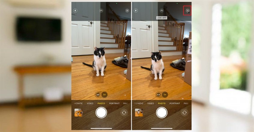 Cara Kerja Live Photo di iPhone