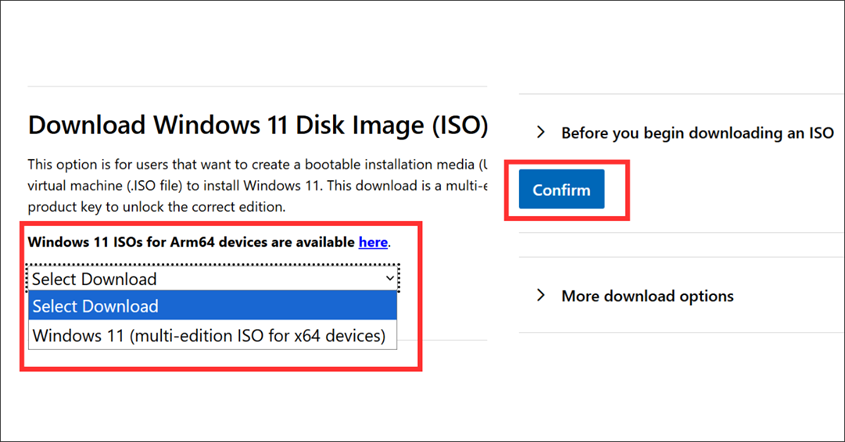 update Windows 11 via ISO