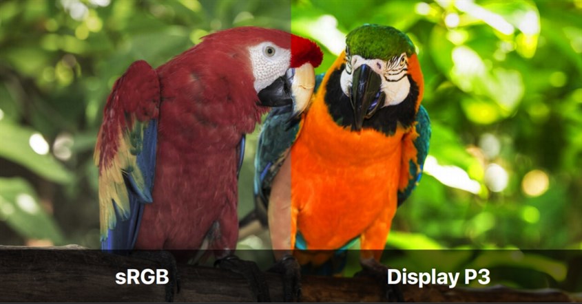 Visualisasi perbedaan tampilan dci p3 dan srgb Visualisasi perbedaan tampilan dci p3 dan srgb