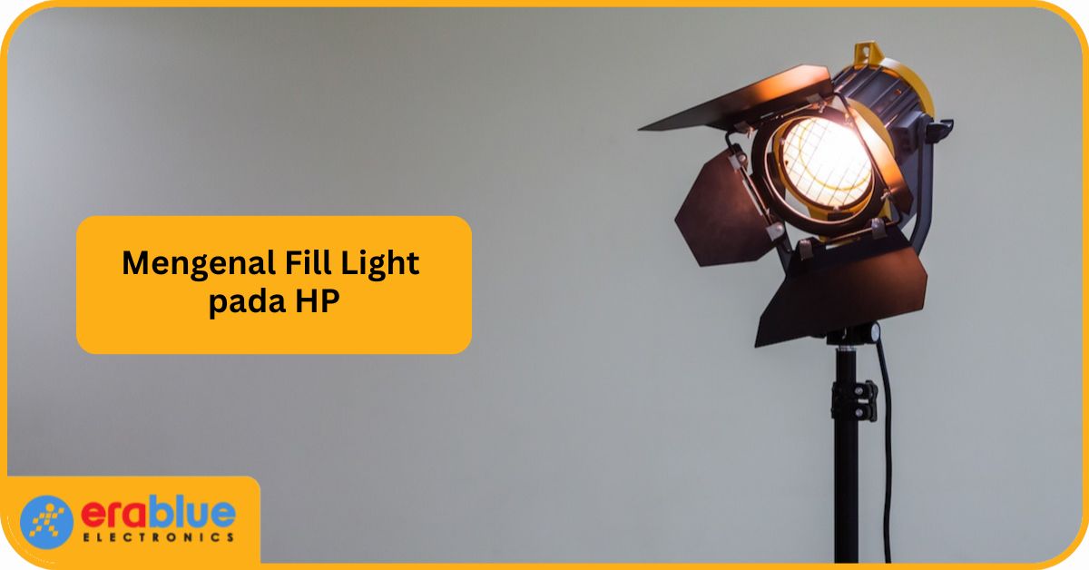 Fill Light: Pengertian, Fungsi, dan HP yang Menggunakannya | erablue.id
