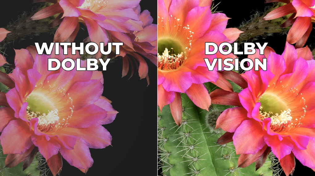 Dolby Vision - Google TV Polytron 4K UHD 43 inch PLD 43UG5059 Dolby Vision - Google TV Polytron 4K UHD 43 inch PLD 43UG5059