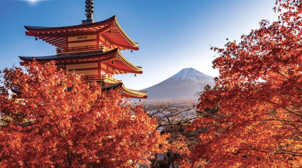 Kualitas Gambar 4K - Google TV Sharp 4K 65 inch 4T-C65HJ6000i