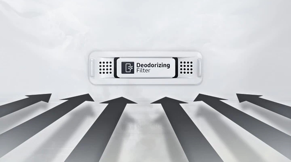 Deodorizing Filter - Kulkas 2 Pintu Samsung Inverter 255L RT25FARBDB1/SE