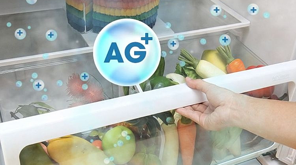 Nano Ag+ - Kulkas 2 Pintu Sharp 187L SJ-236MG-GB