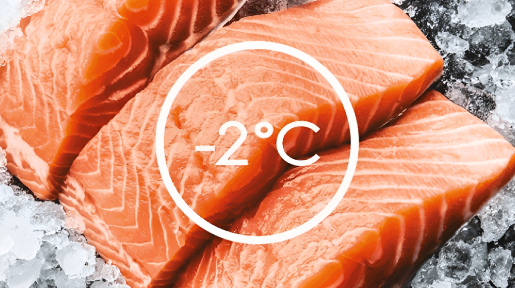 TasteSeal -2°C - Kulkas 2 Pintu Electrolux Inverter 256L ETB2802J-A