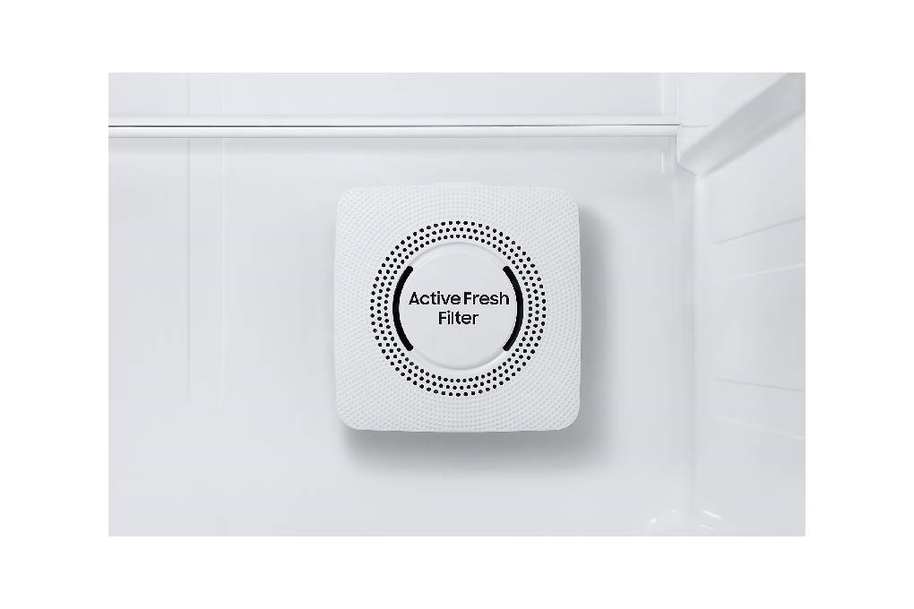 Kulkas 2 Pintu Samsung Inverter 393L RT38CB66408JSE