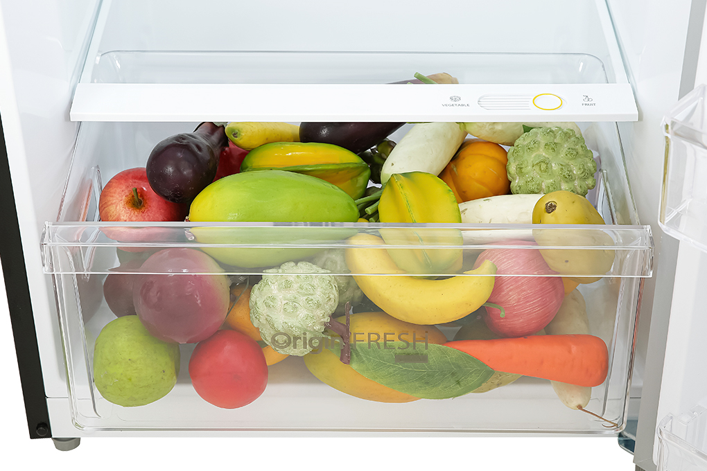 Kulkas 2 Pintu Toshiba Inverter 312L GR-RT412WE-PMF(58)