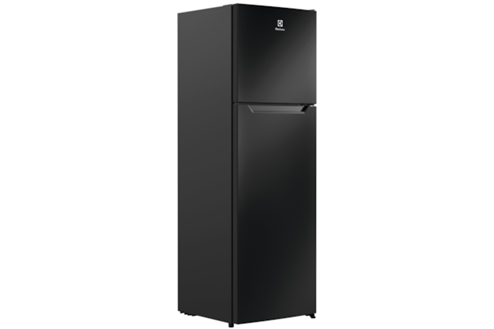 Kulkas 2 Pintu Electrolux Inverter 246L ETM2500A-B