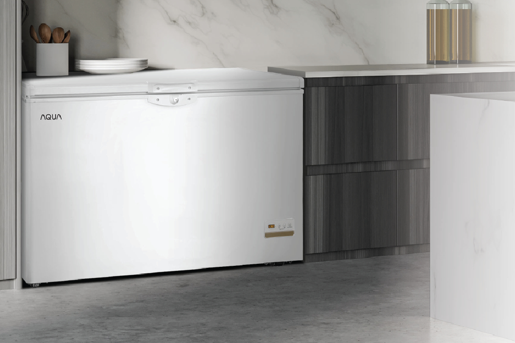 Freezer Aqua 290 L AQF-305GC 3