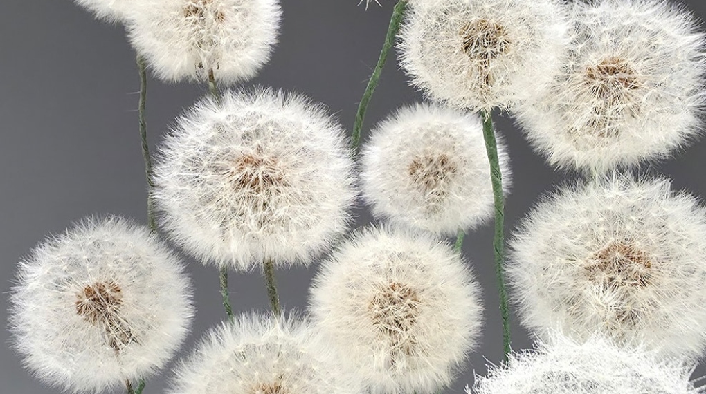 Kamampuan Fotografi Dengan Detail - Smartphone Samsung Galaxy S25 Ultra 5G 12GB/1TB TITANIUM SILVER BLUE