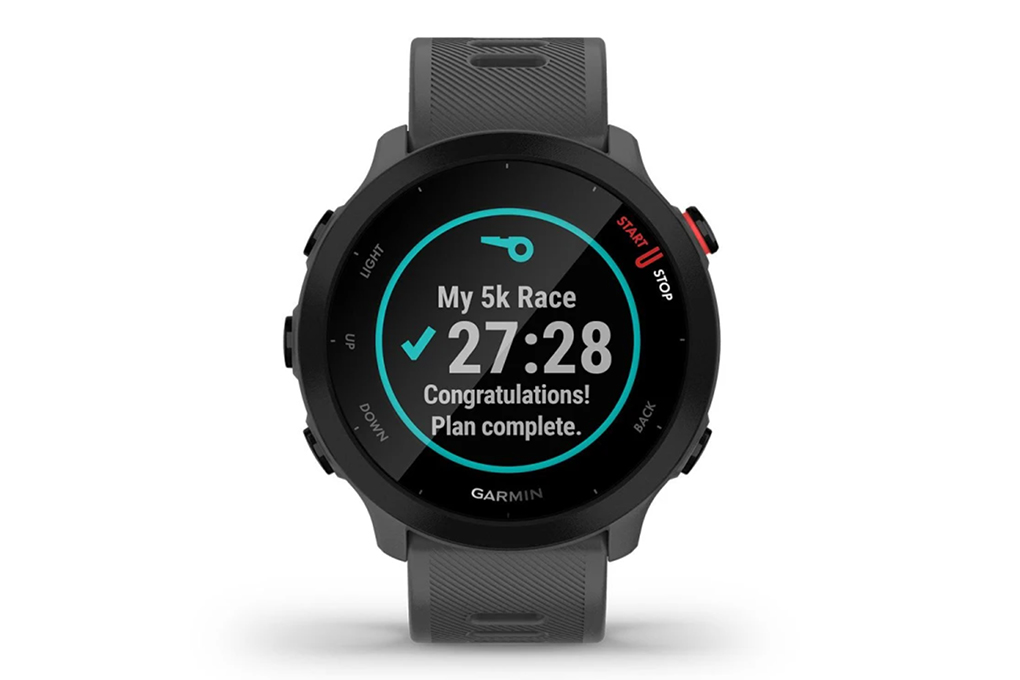 Smartwatch Garmin Forerunner 55 GPS Monterra Grey 26.3 mm