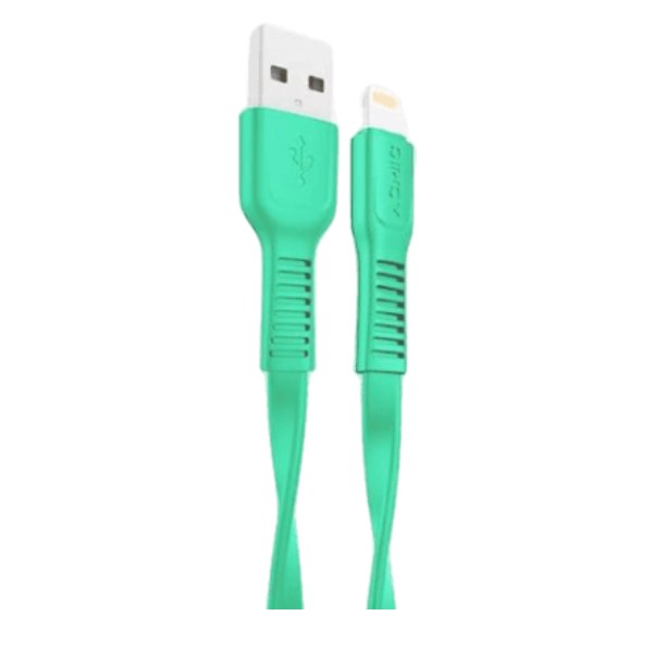 Kabel Data Type A - Ligthning 1m ACMIC FL100 TOSCA